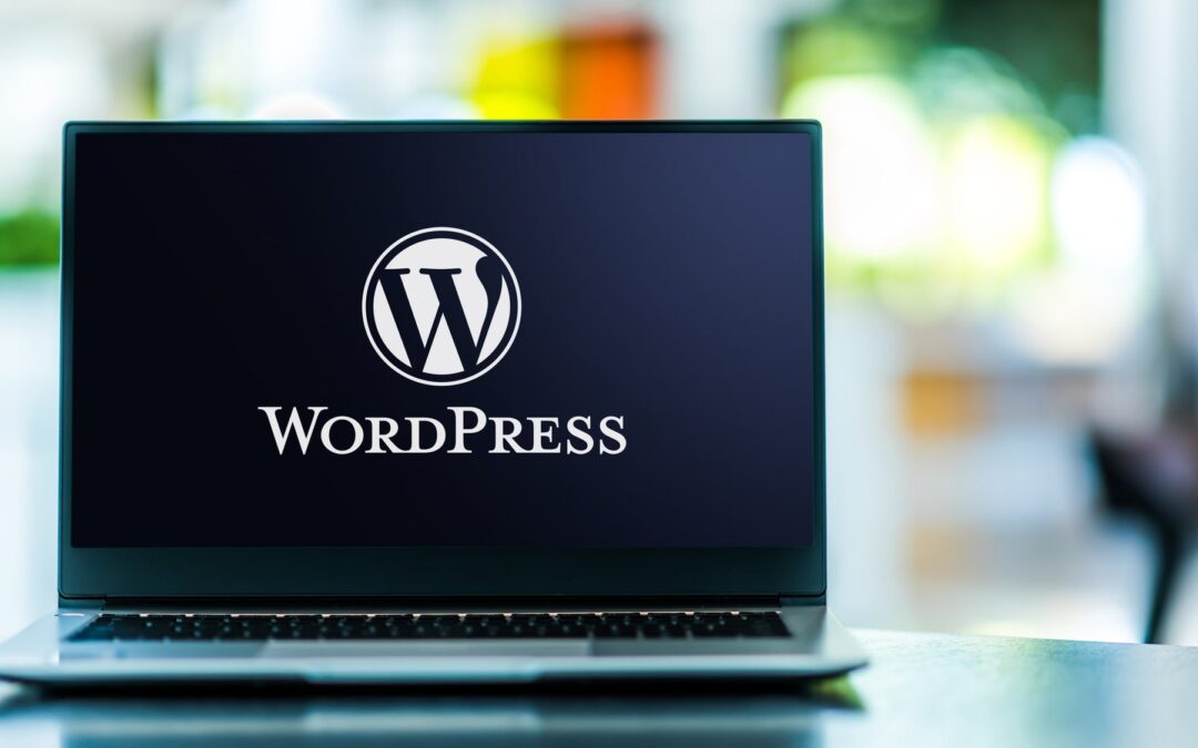 10 Major Issues to Address with WordPress